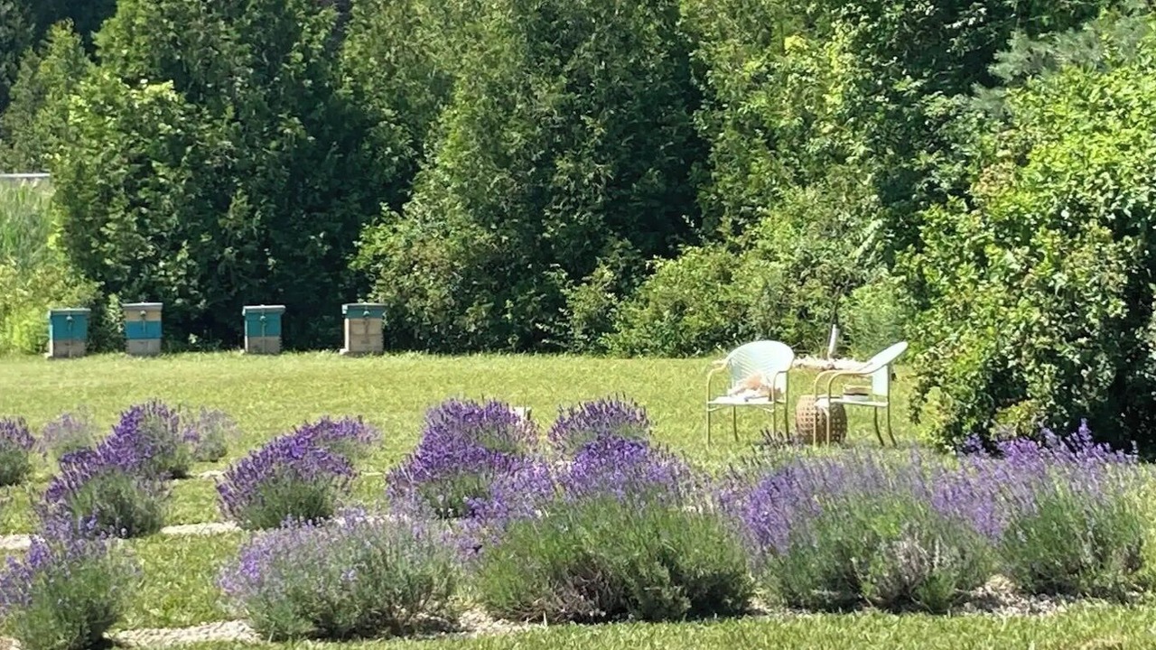 Photo of Outdoor in Bayfield