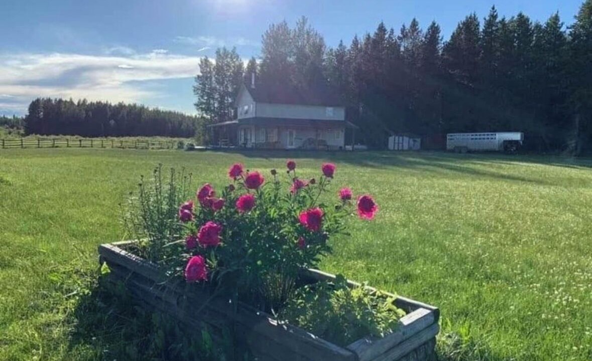 Photo of Outdoor in Division No. 11