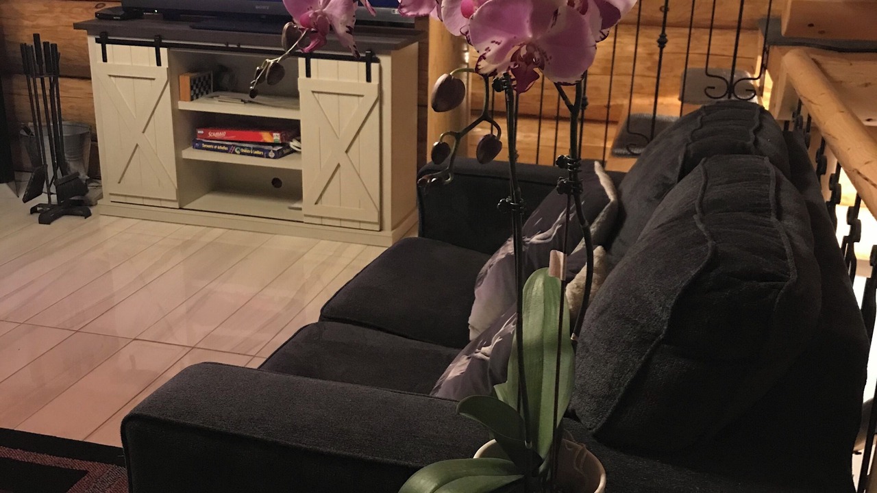 Photo of Livingroom in Val David