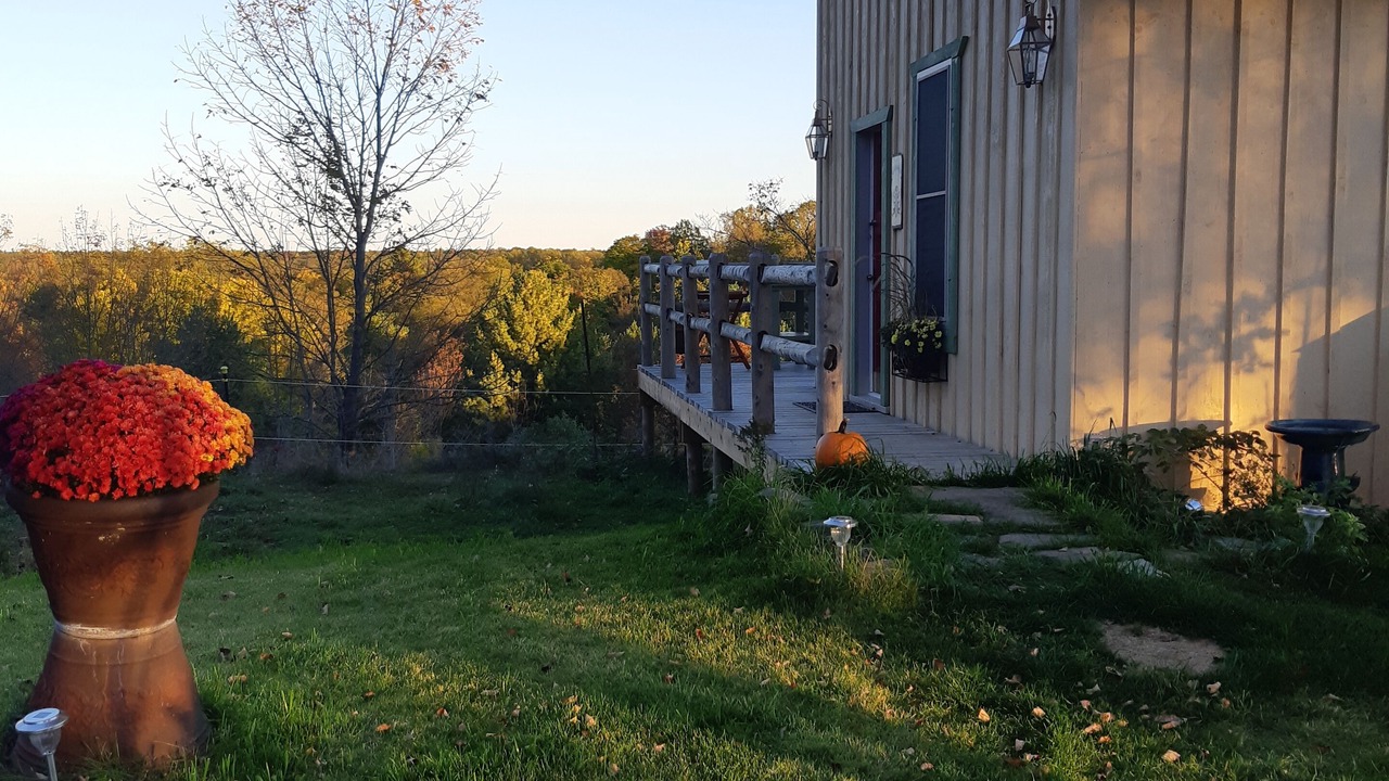 Photo of Others in Tay Valley