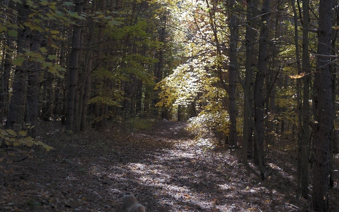 Photo of Others in Tay Valley