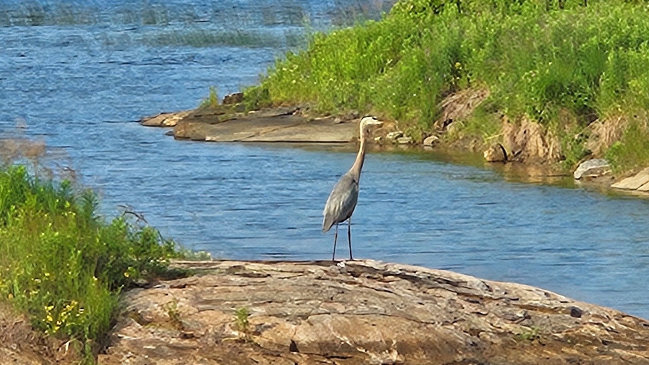 Photo of Others in Georgian Bay