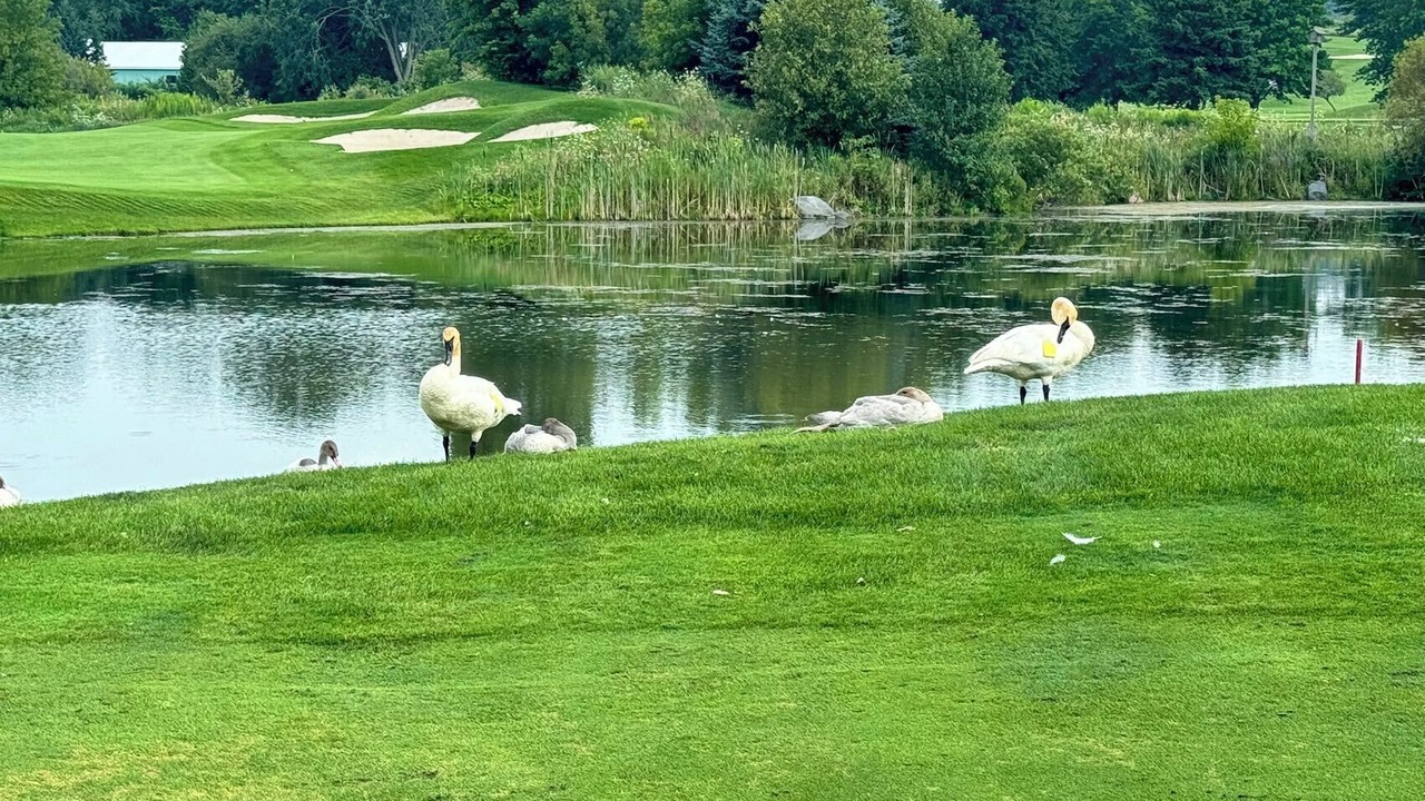 Photo of Others in Georgian Bay