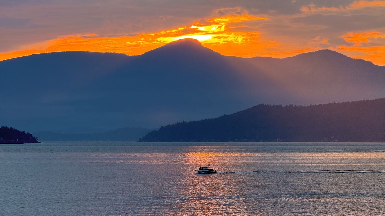 Photo of Others in Vancouver