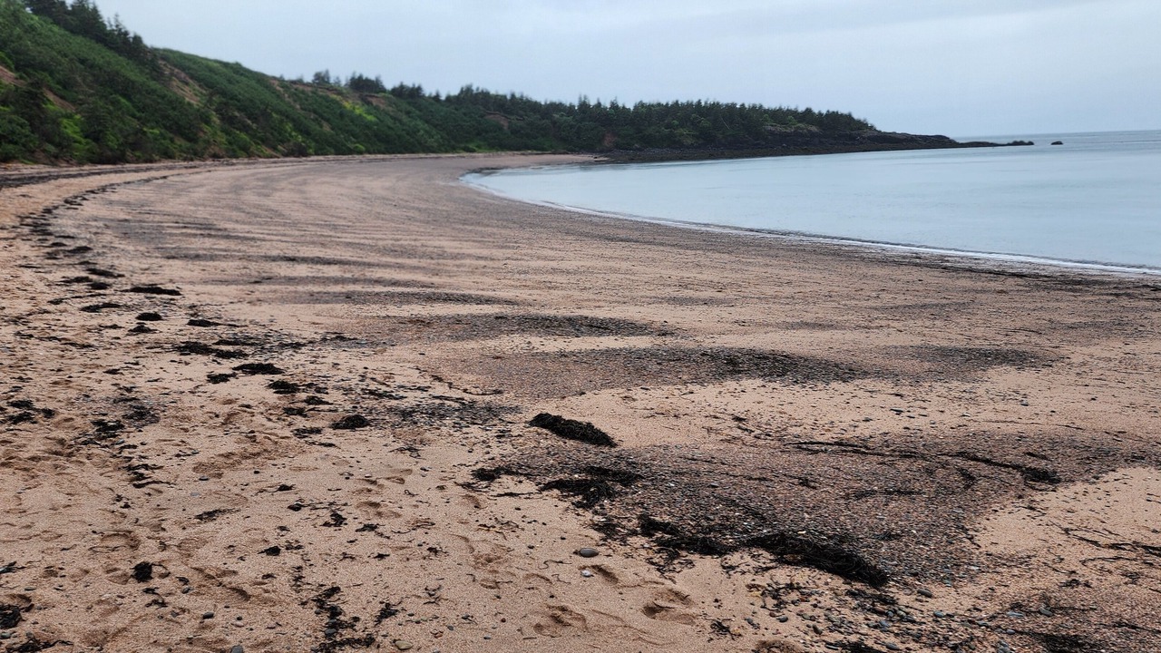 Photo of Others in Sandy Cove