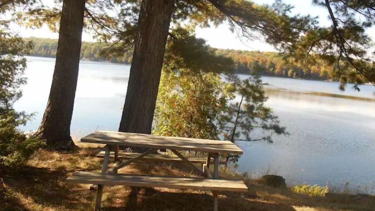 Photo of Others in Frontenac