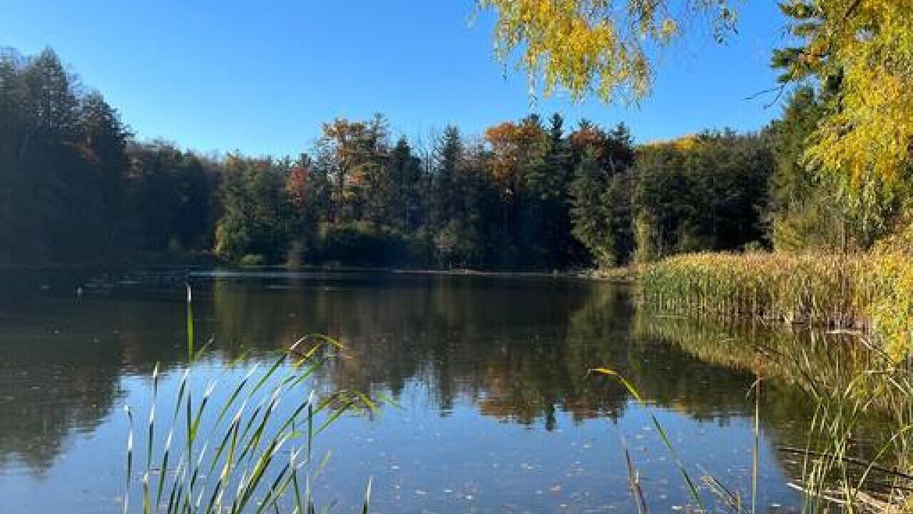 Photo of Outdoor in Kitchener
