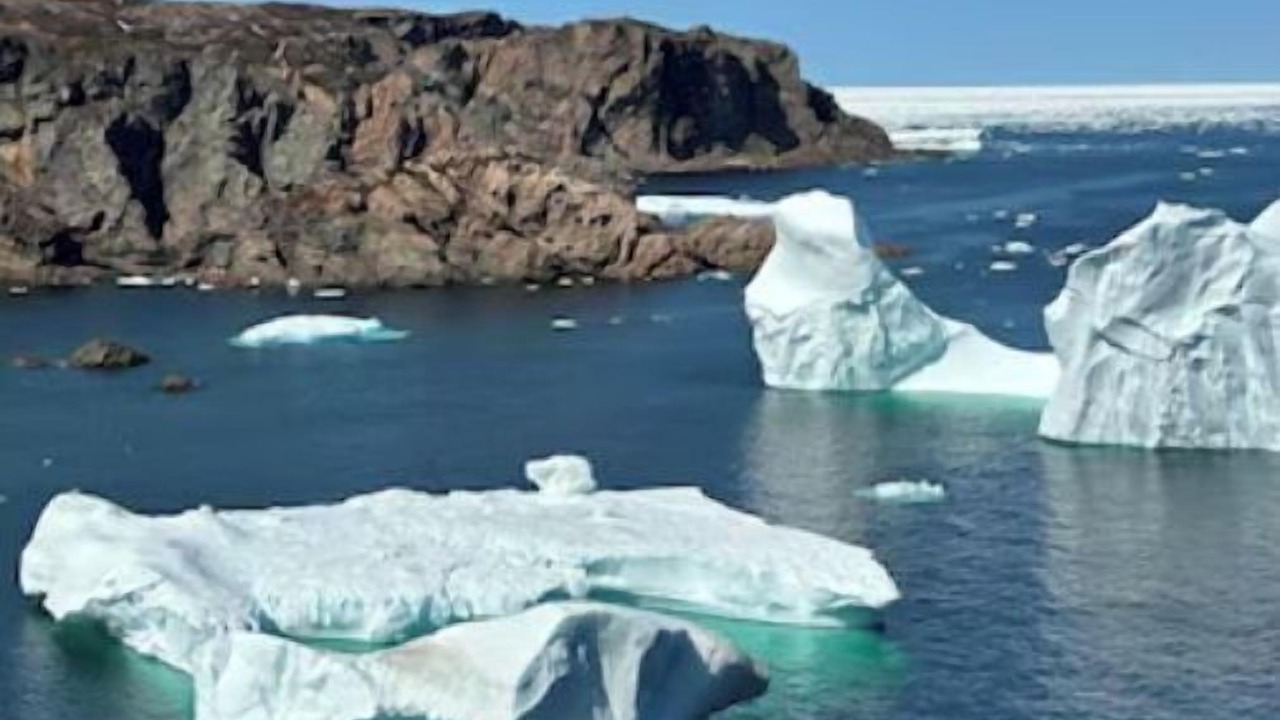 Photo of Others in Twillingate