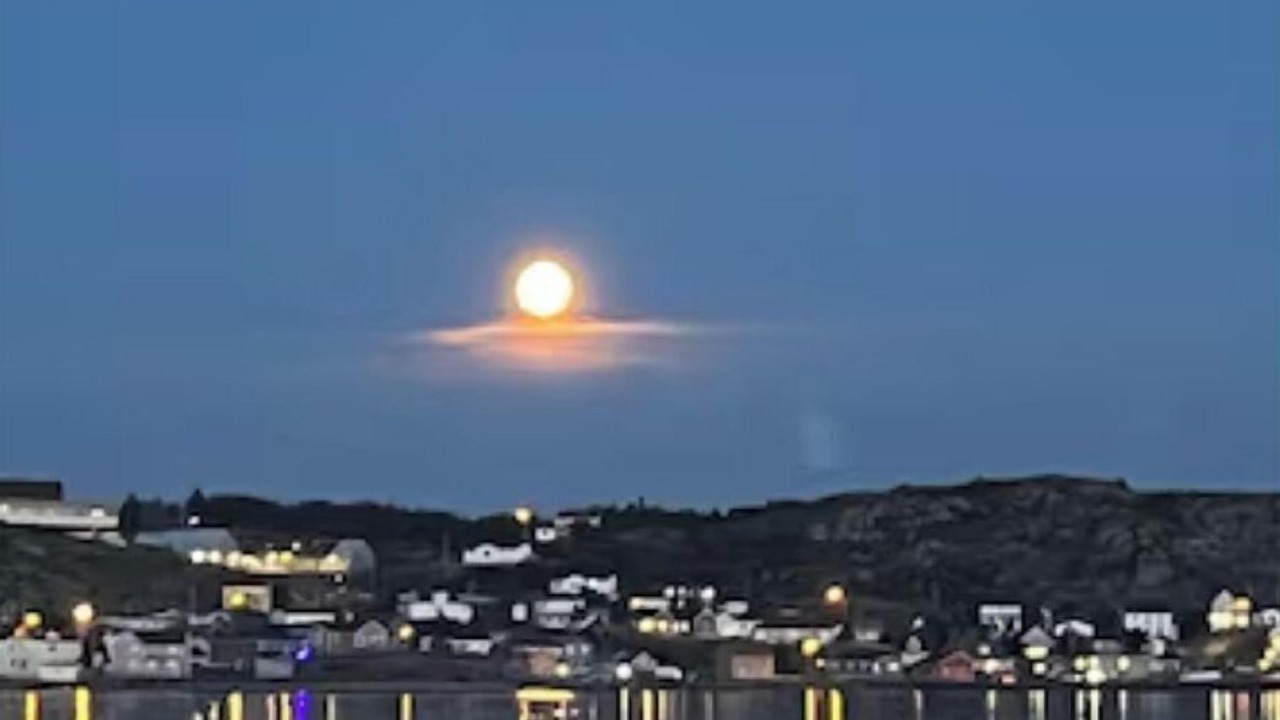Photo of Others in Twillingate