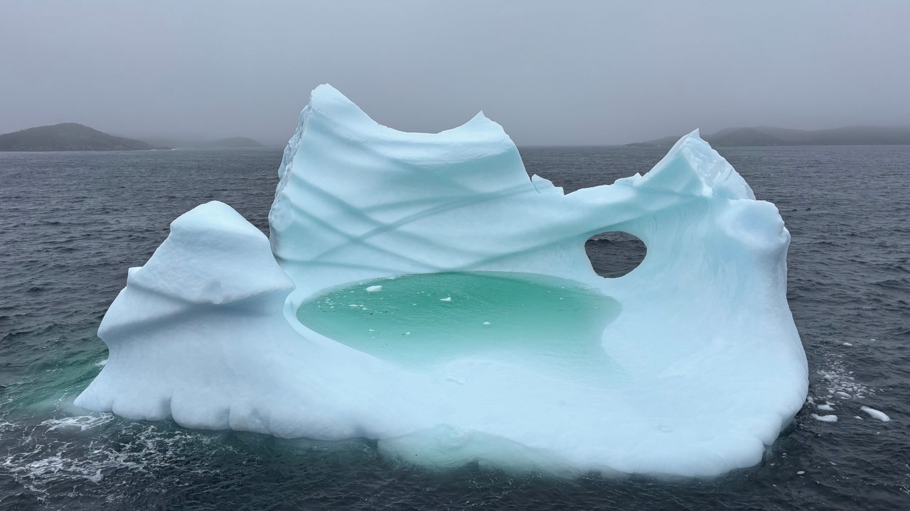 Photo of Others in Twillingate