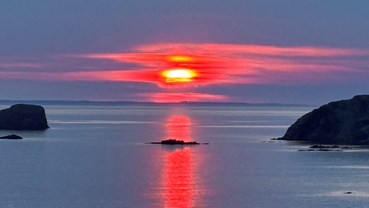 Photo of Others in Twillingate
