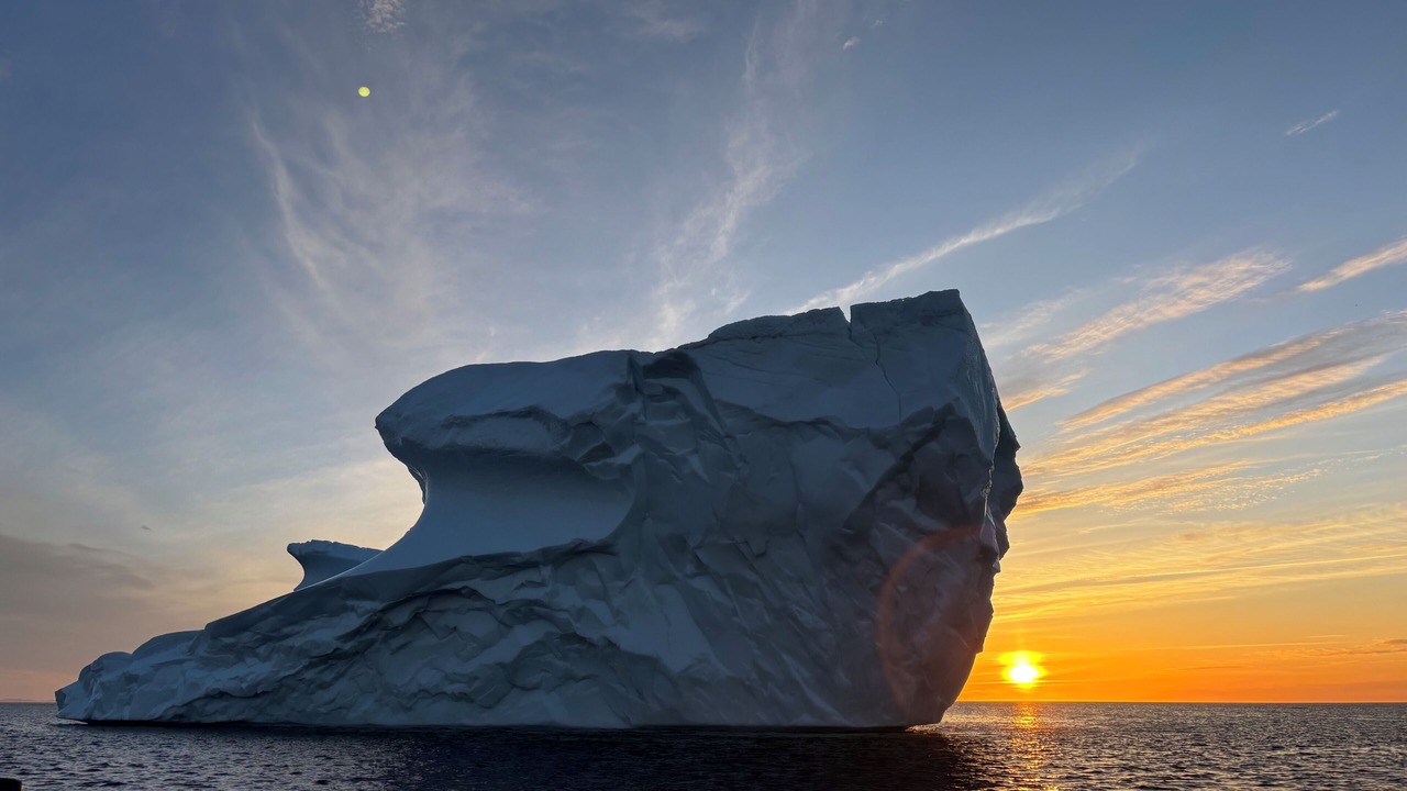 Photo of Others in Twillingate