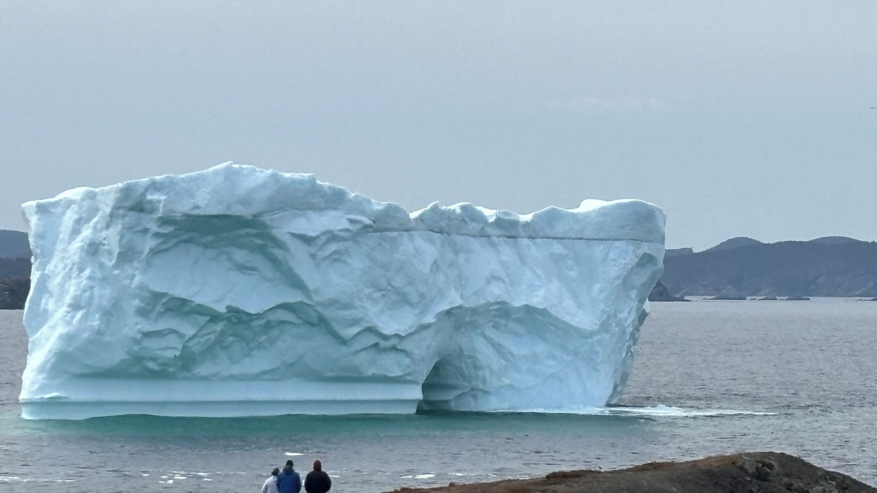 Photo of Others in Twillingate