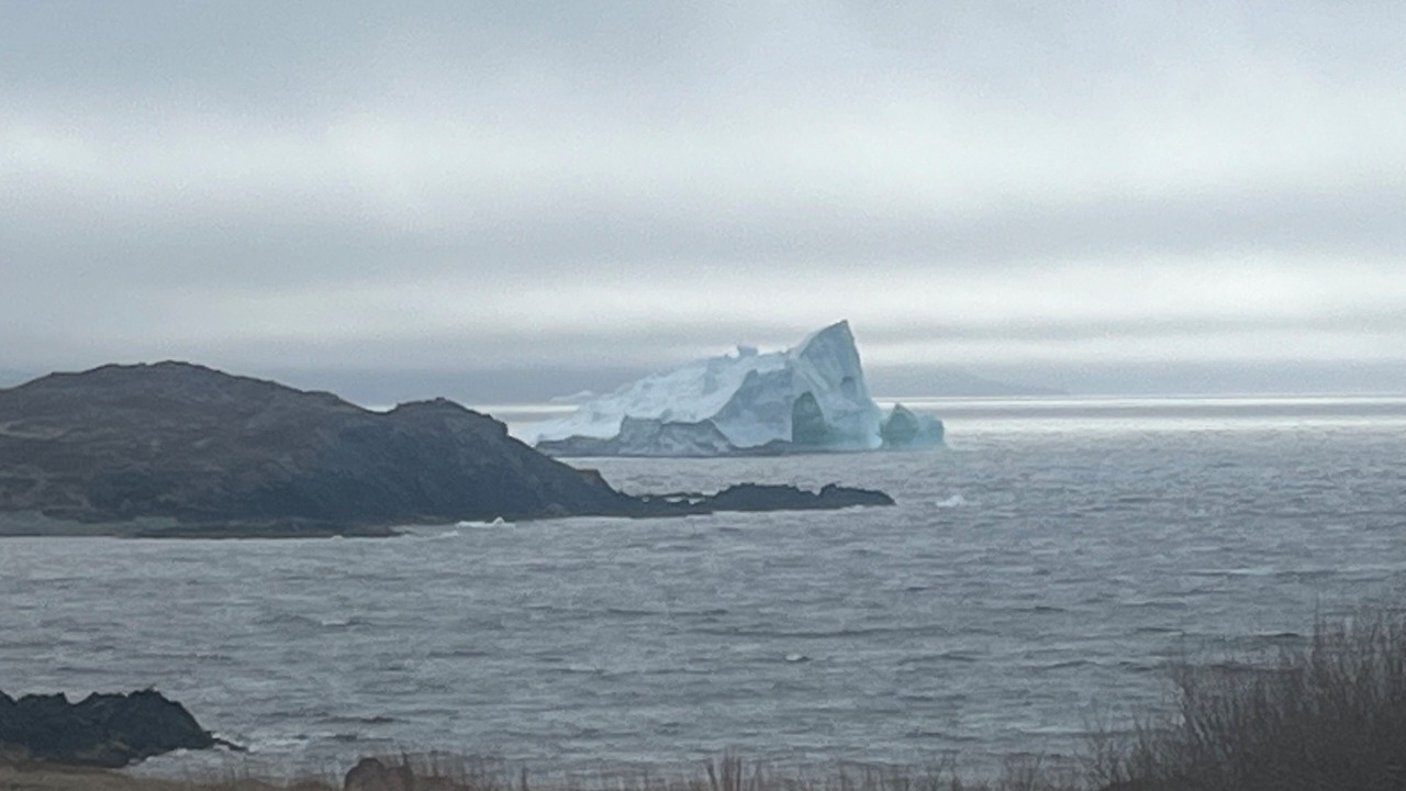 Photo of Others in Twillingate