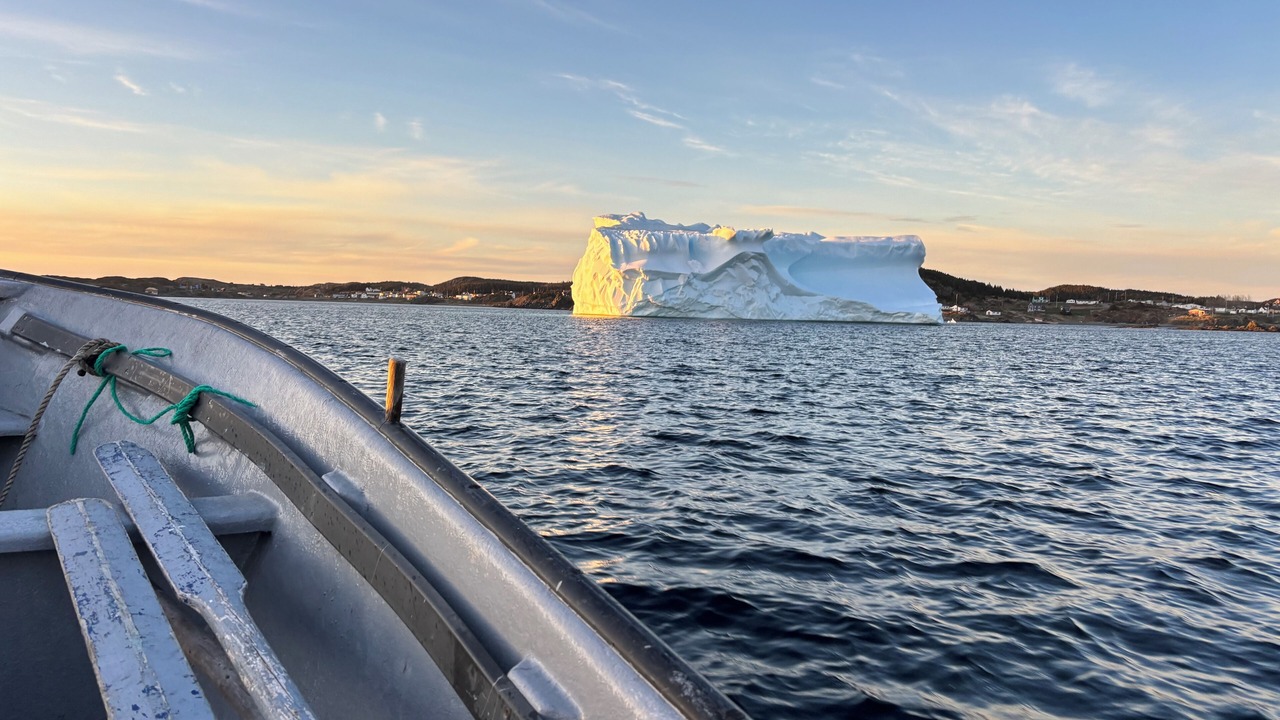 Photo of Others in Twillingate