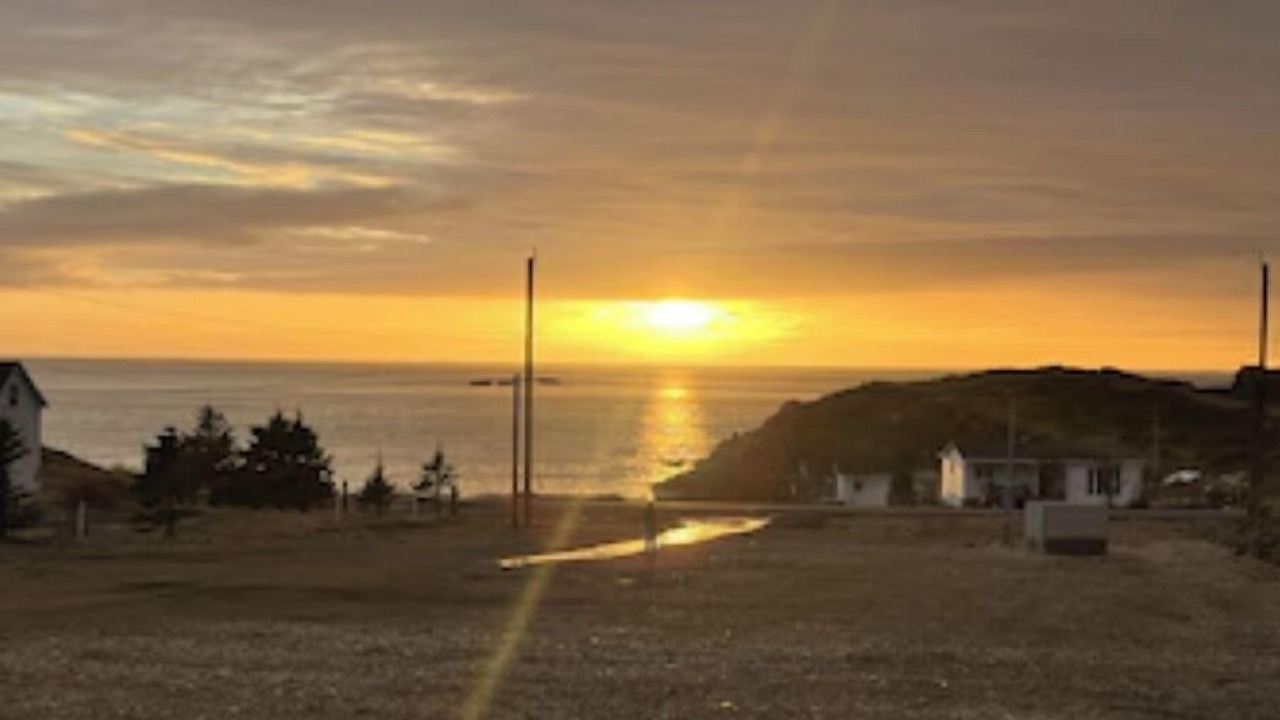 Photo of Others in Twillingate