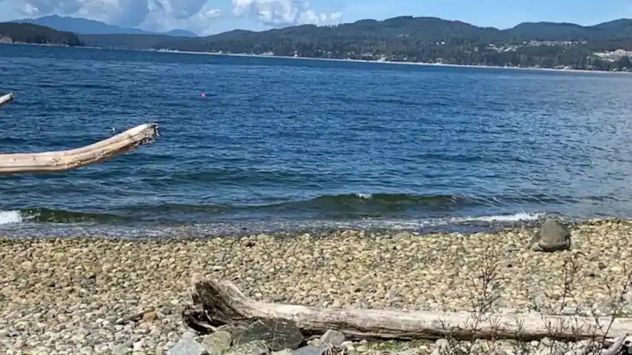 Photo of Others in Roberts Creek