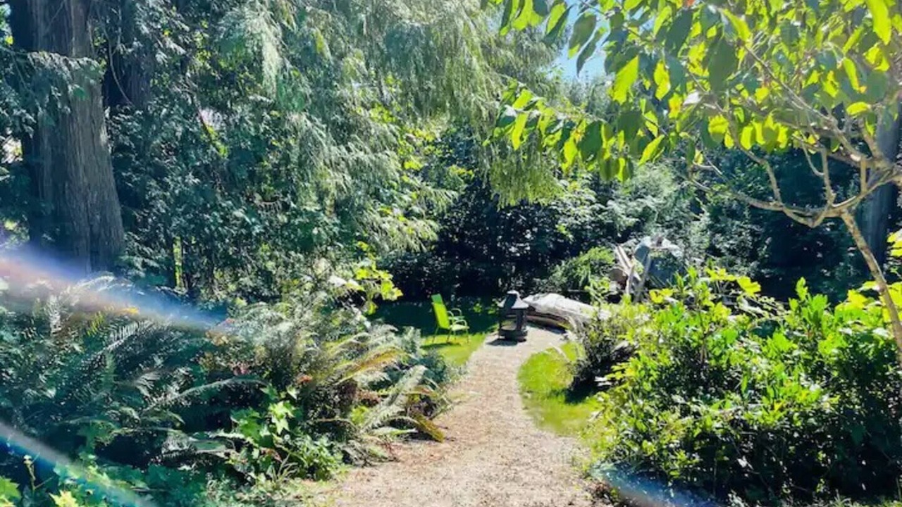 Photo of Outdoor in Roberts Creek