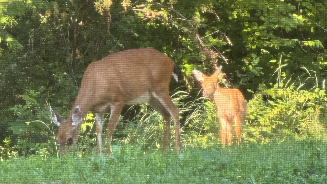 Photo of Outdoor in Regional District of Nanaimo