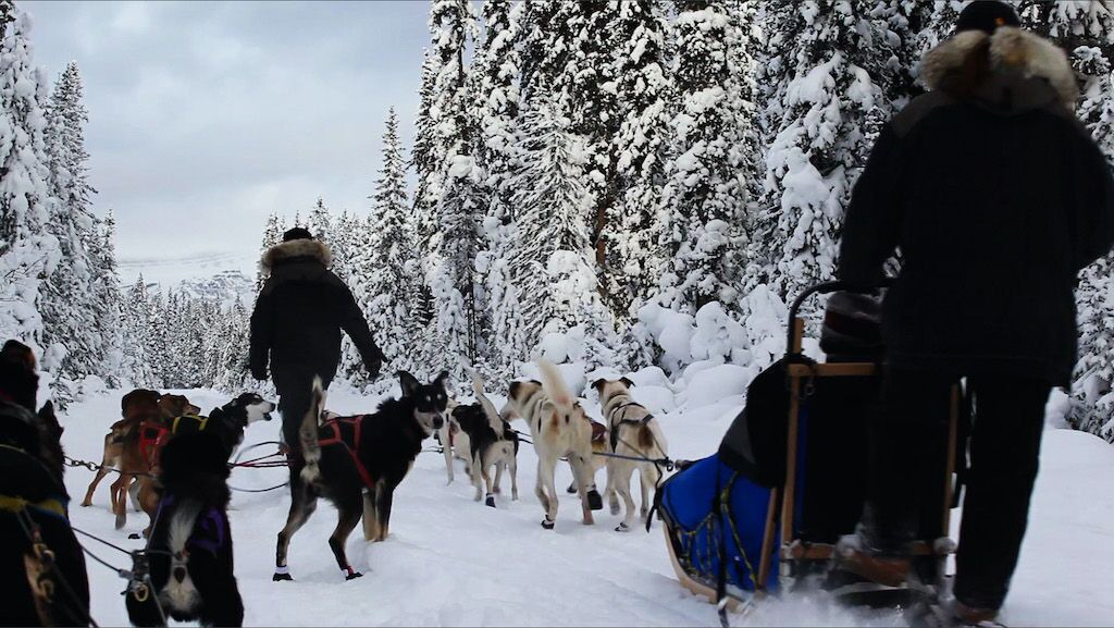 Photo of Others in Lake Louise
