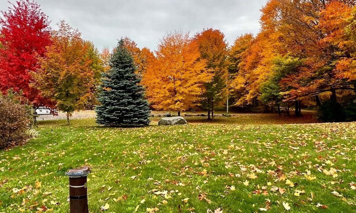 Photo of Outdoor in Cramahe