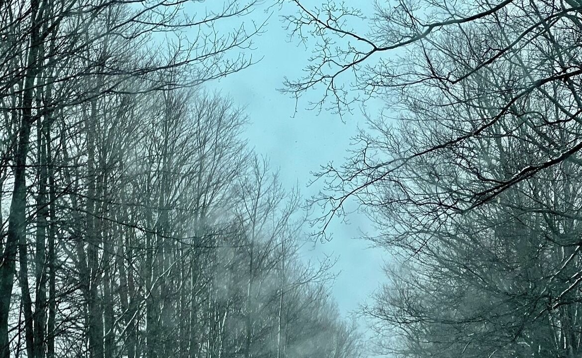 Photo of Others in Cramahe