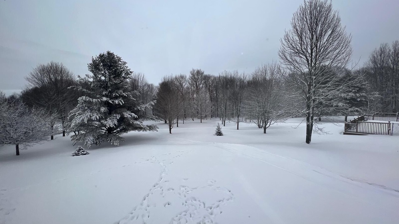 Photo of Outdoor in Cramahe