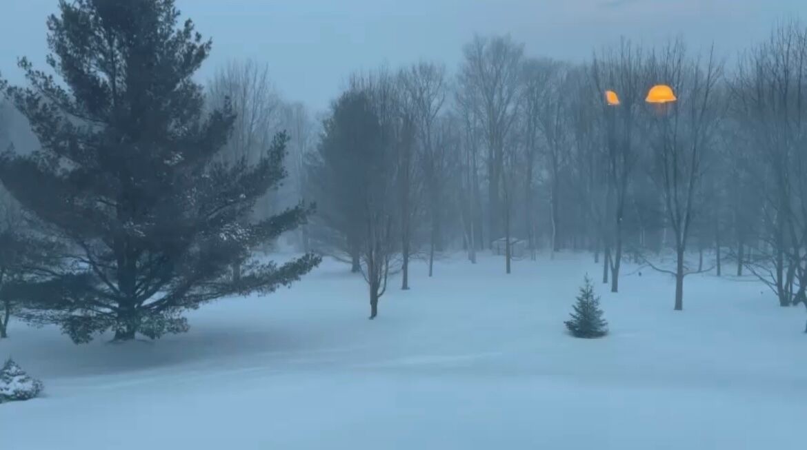 Photo of Others in Cramahe