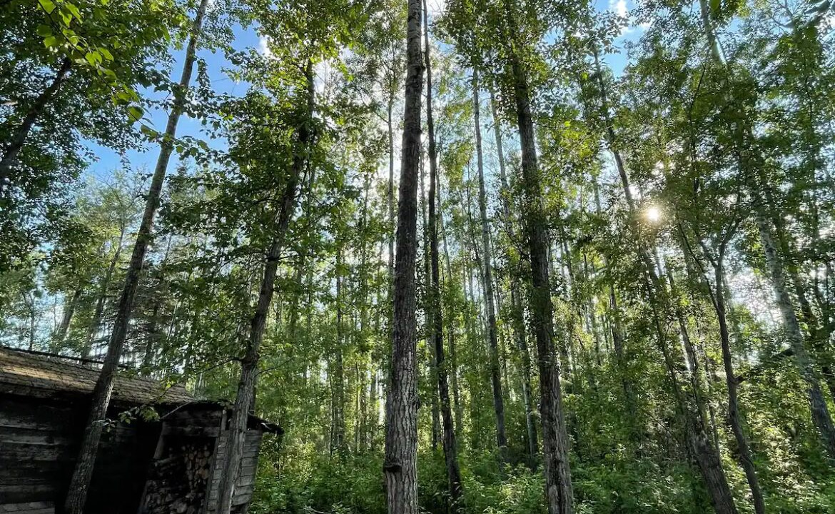 Photo of Outdoor in Central Alberta