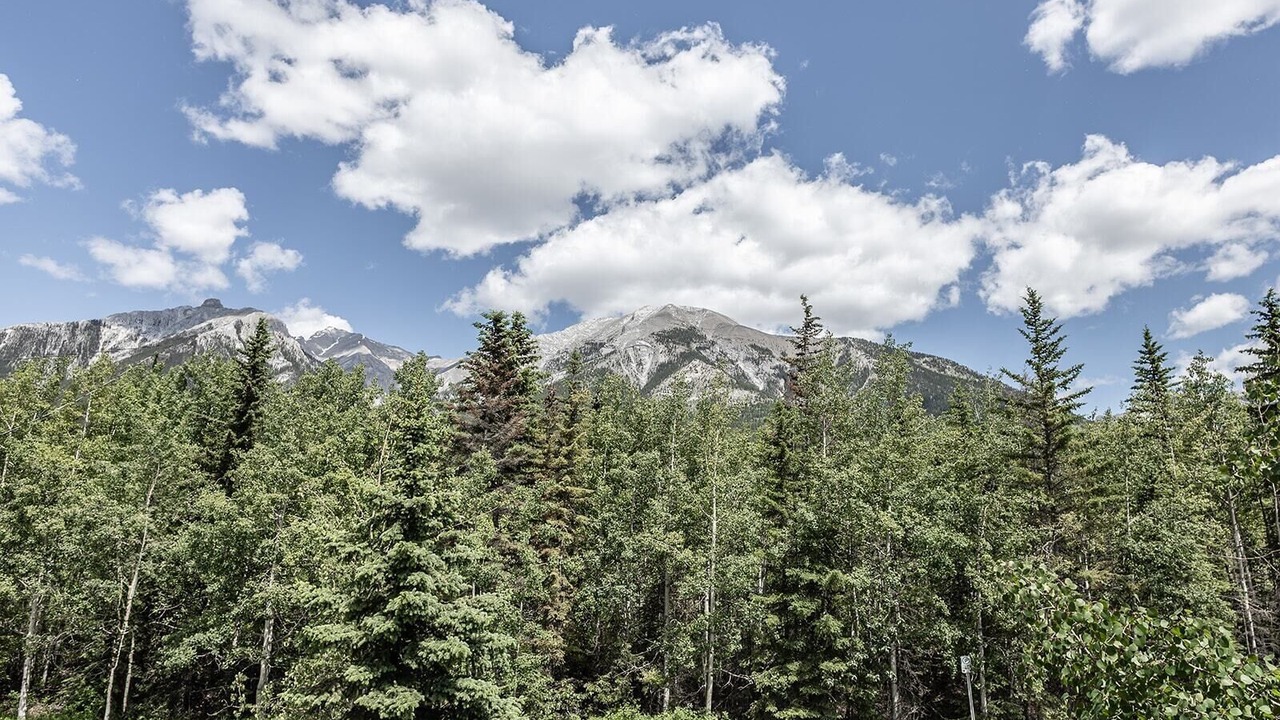 Photo of Others in Canmore