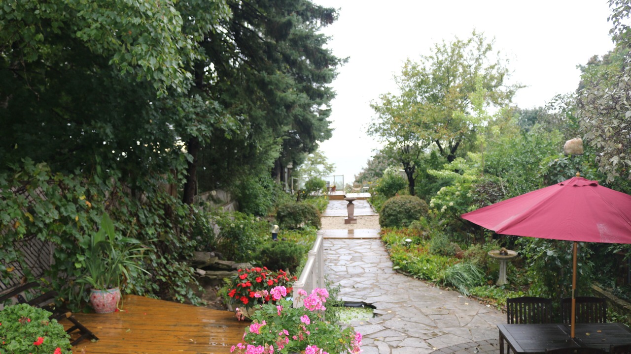 Photo of Outdoor in Birch Cliff