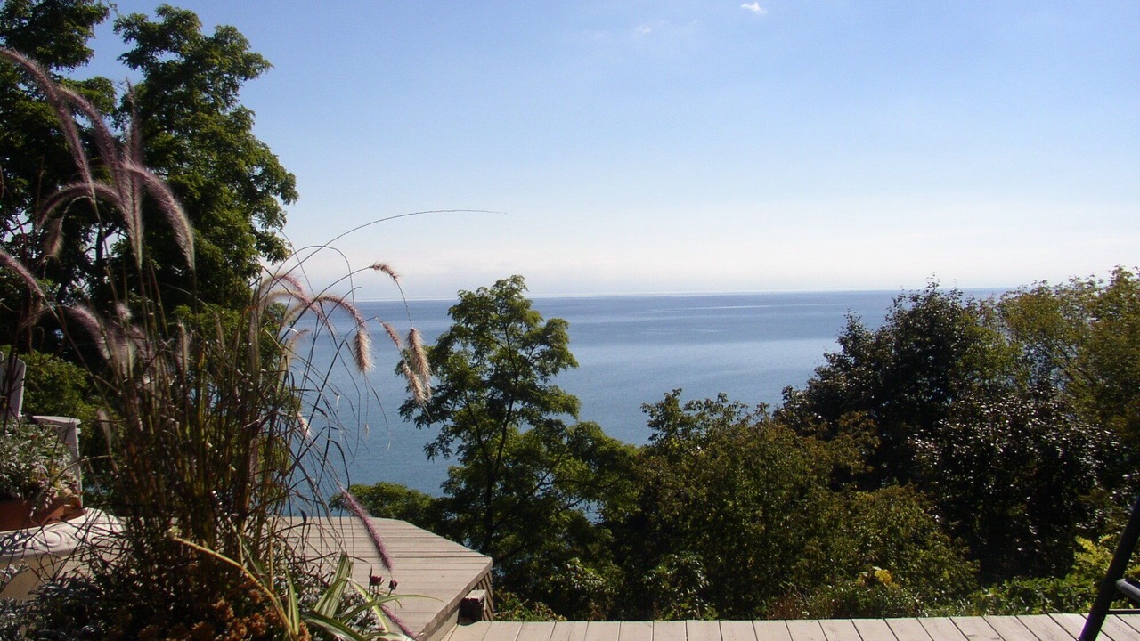 Photo of Outdoor in Birch Cliff