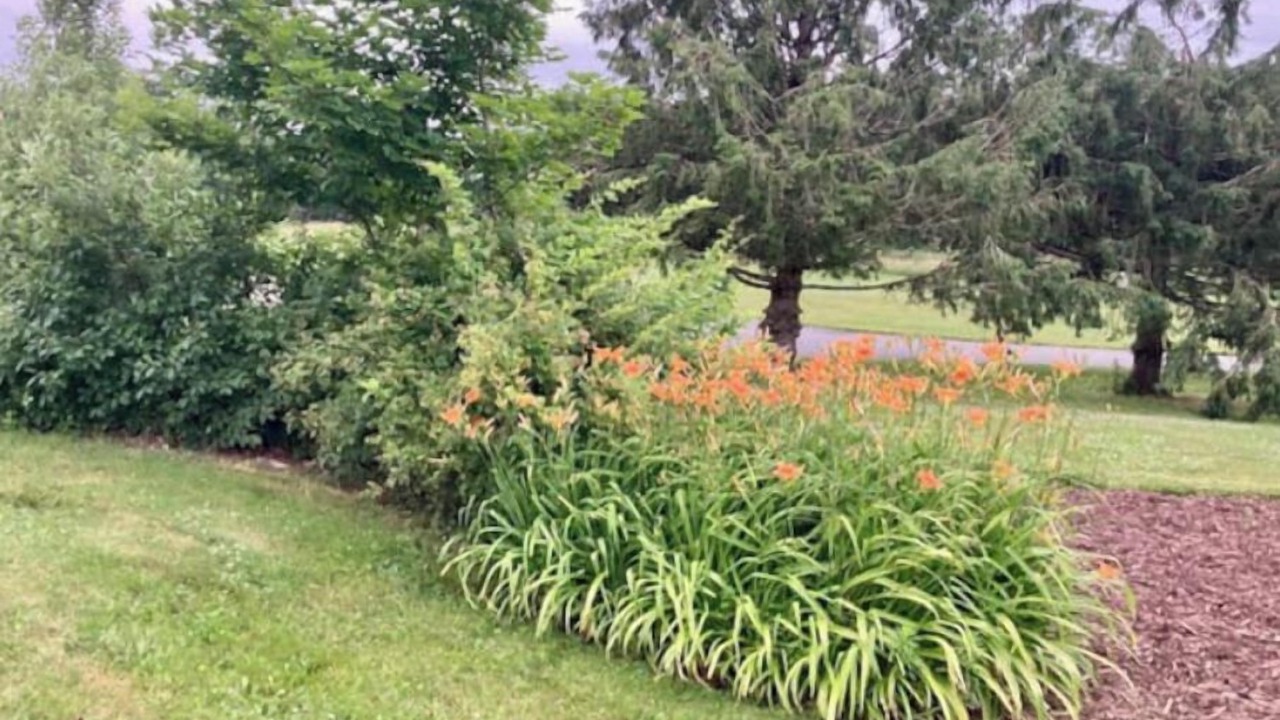 Photo of Outdoor in Colchester County