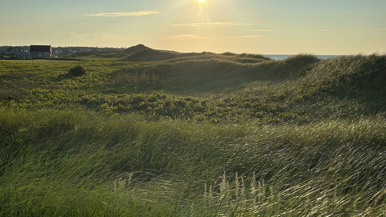 Photo of Outdoor in Darnley