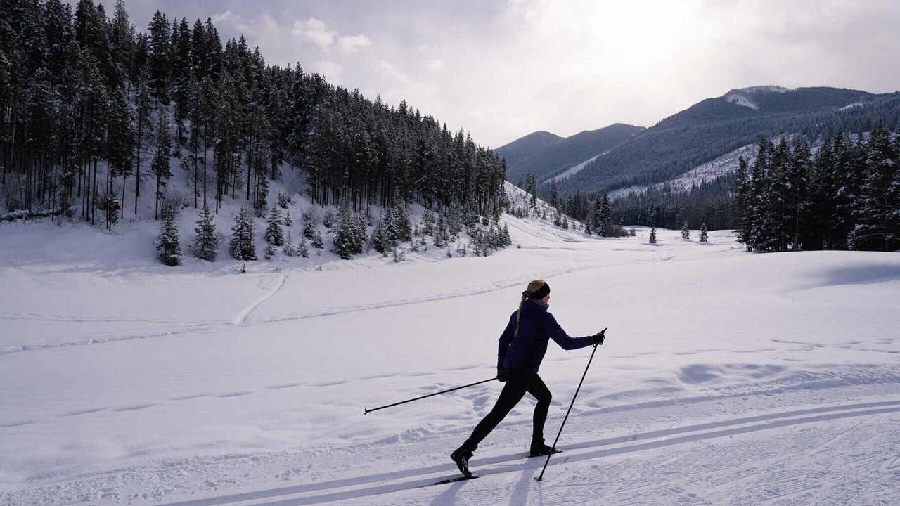Photo of Others in East Kootenay