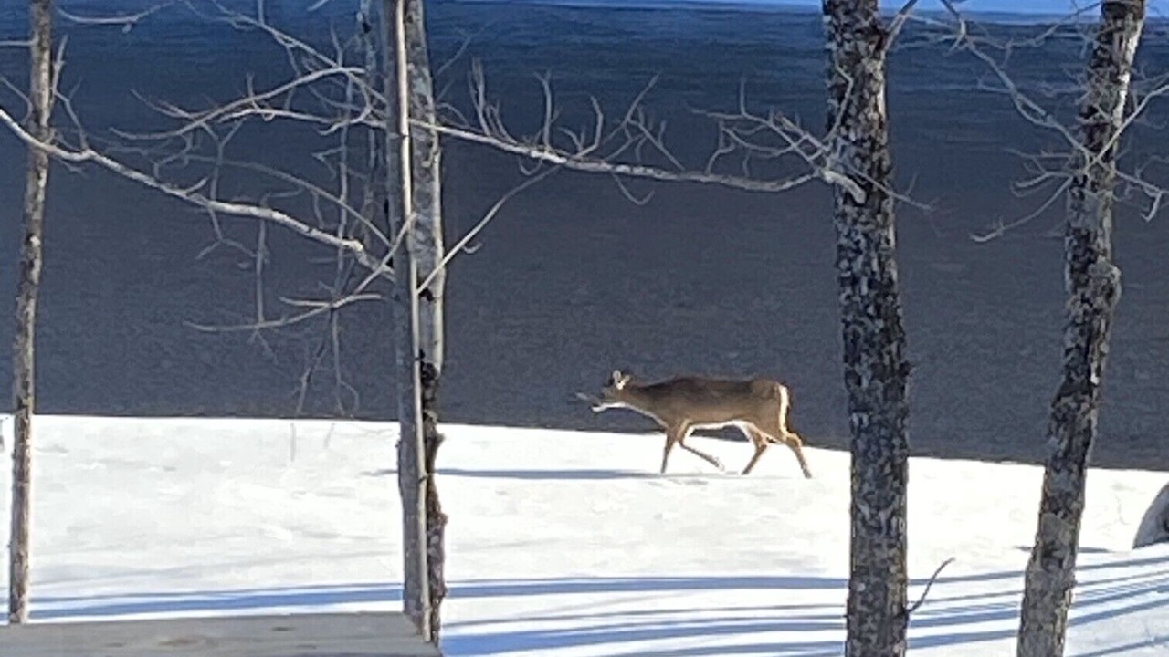 Photo of Outdoor in Keswick Ridge