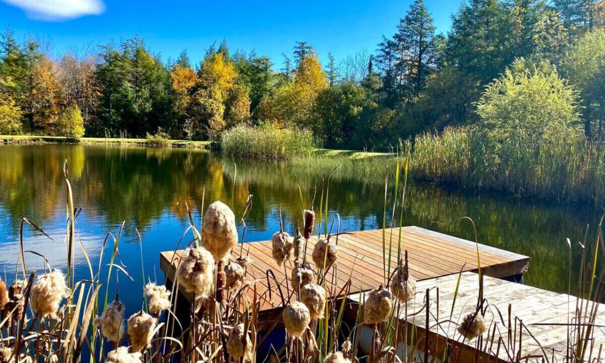 Photo of Outdoor in Potton