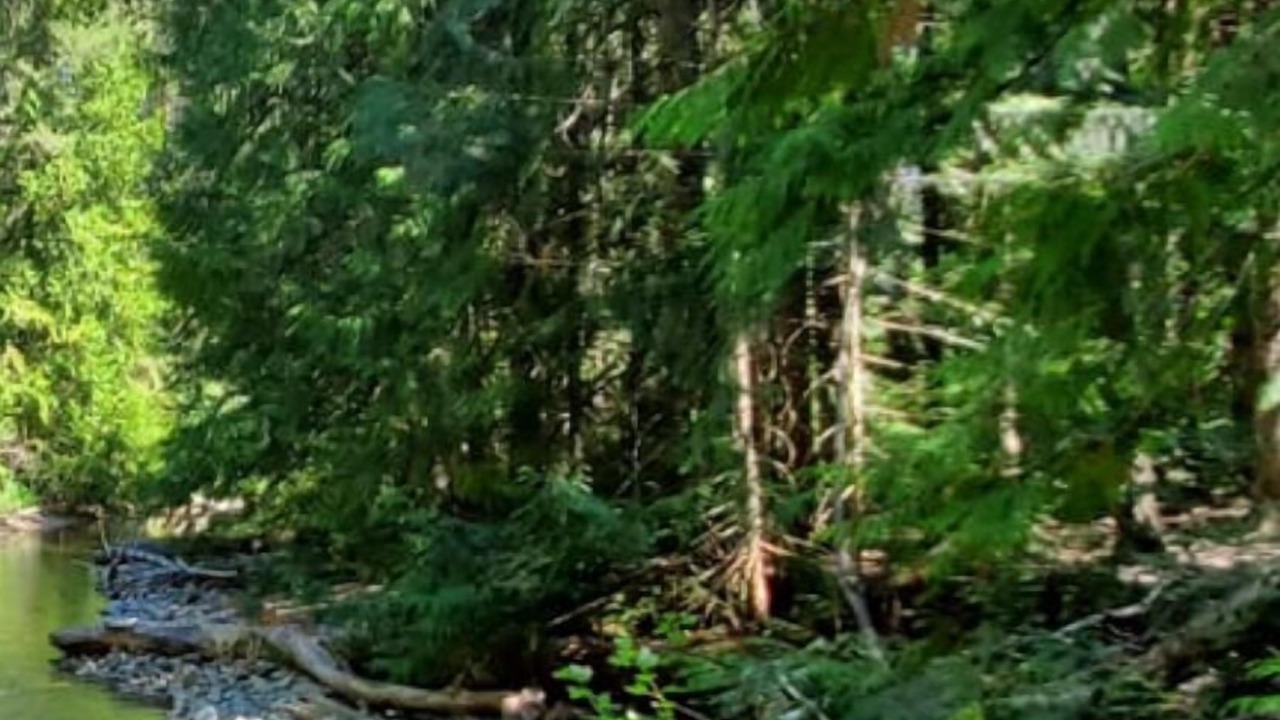 Photo of Others in Lee Creek