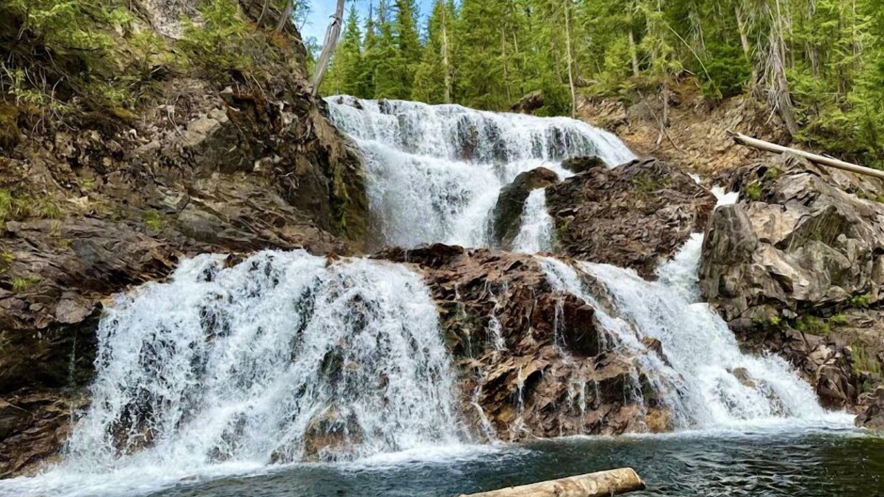 Photo of Others in Lee Creek