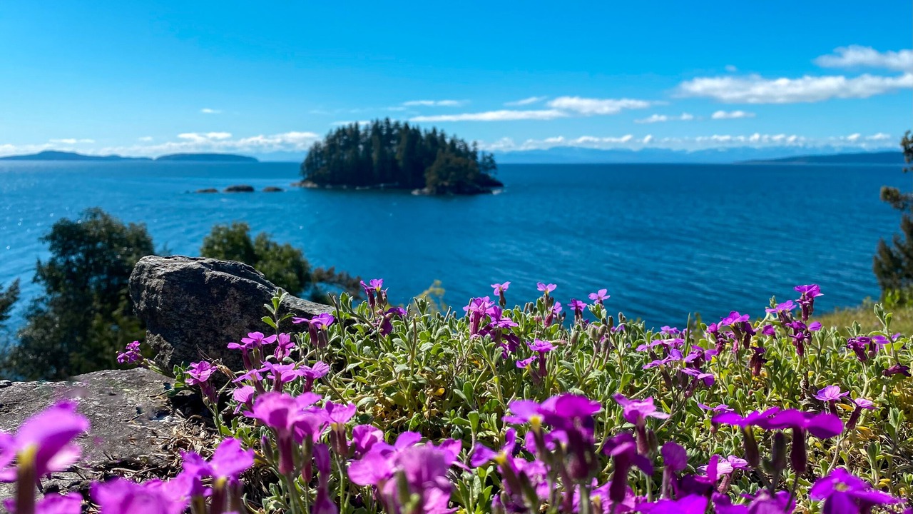 Photo of Outdoor in Madeira Park