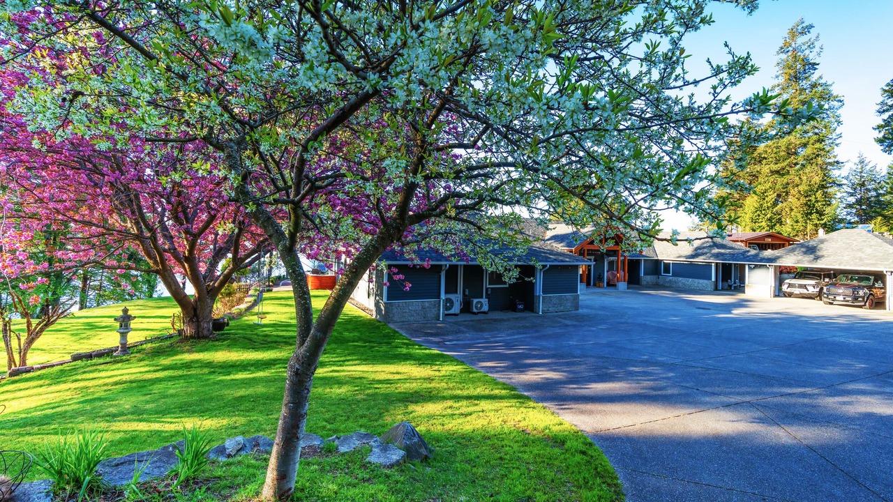 Photo of Outdoor in Madeira Park