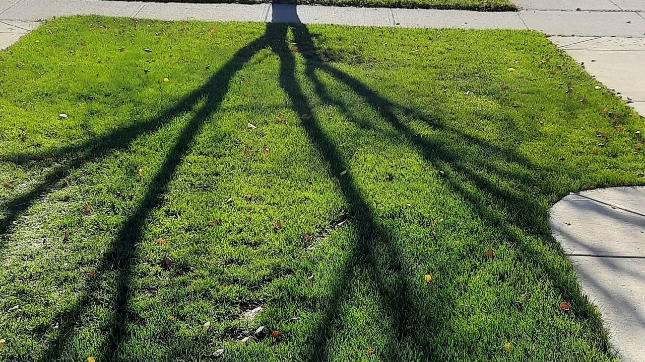 Photo of Outdoor in Quarry Park