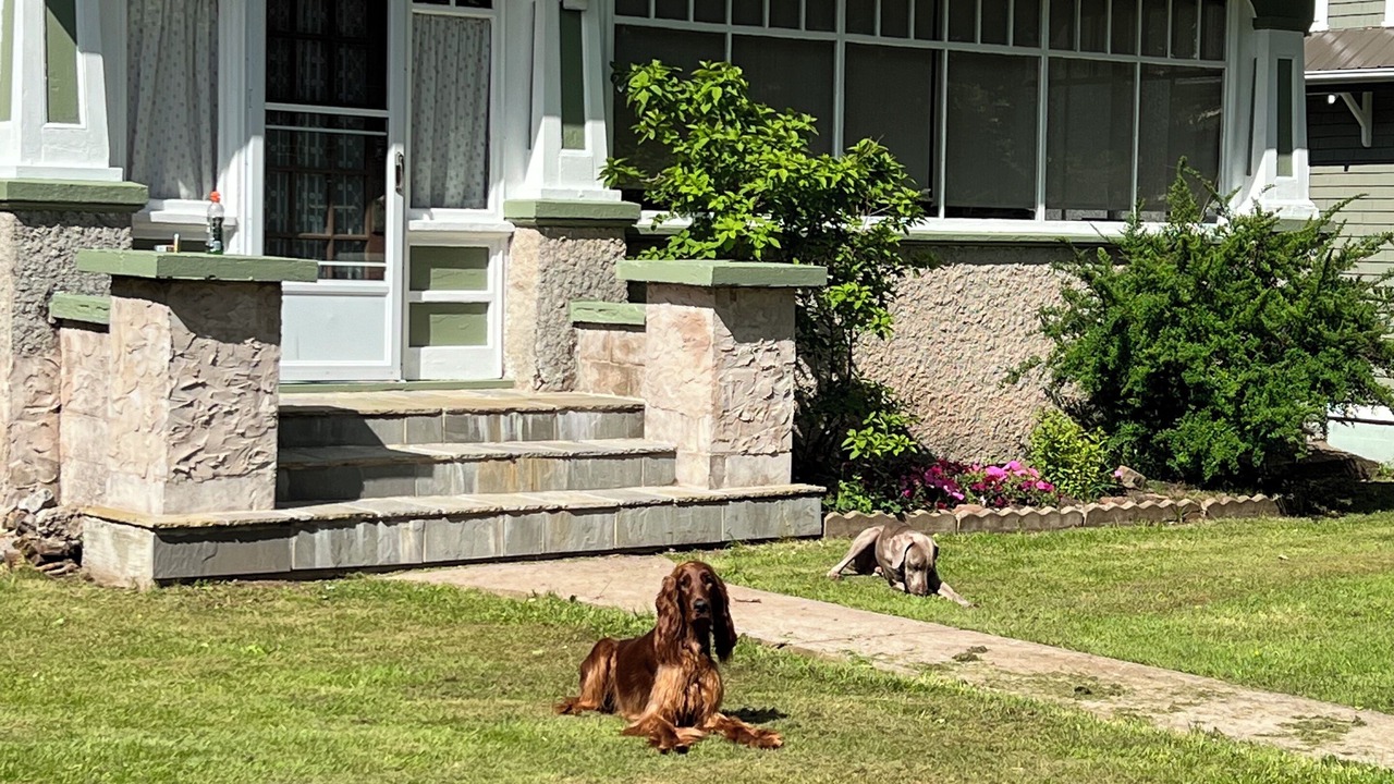 Photo of Outdoor in Montague