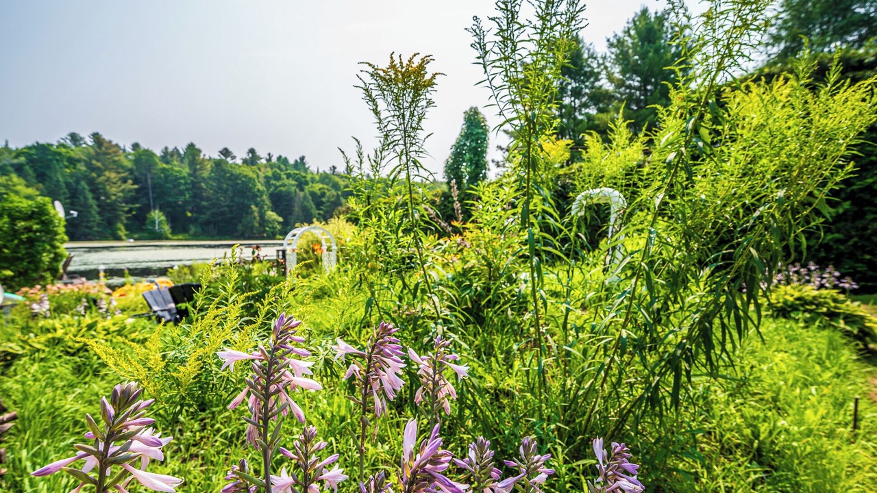Photo of Outdoor in Saint-Alphonse-Rodriguez