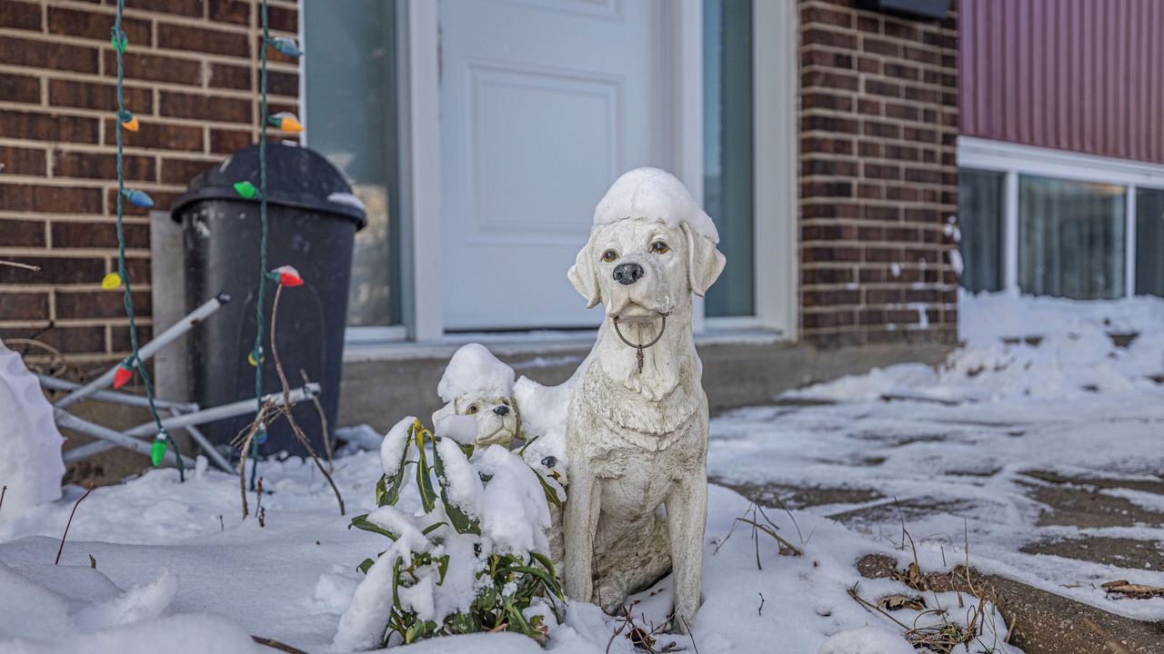 Photo of Outdoor in Chambly