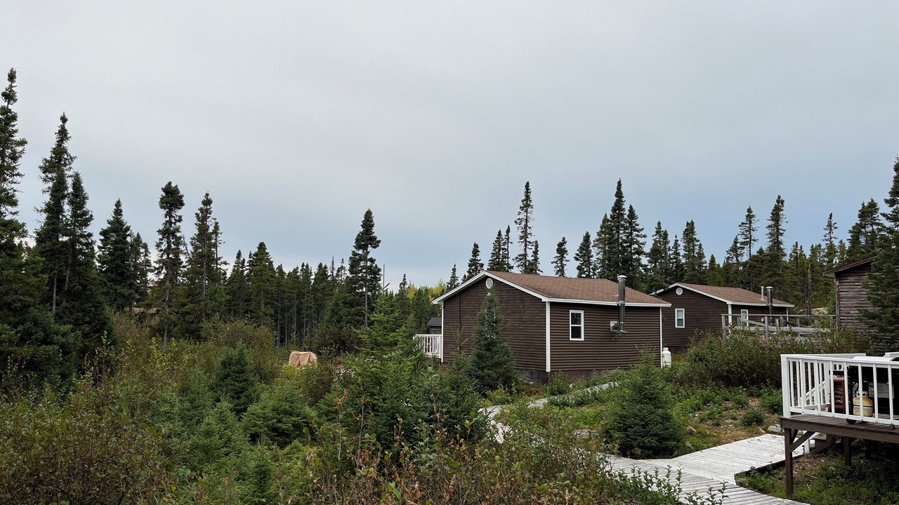 Photo of Others in New-Wes-Valley