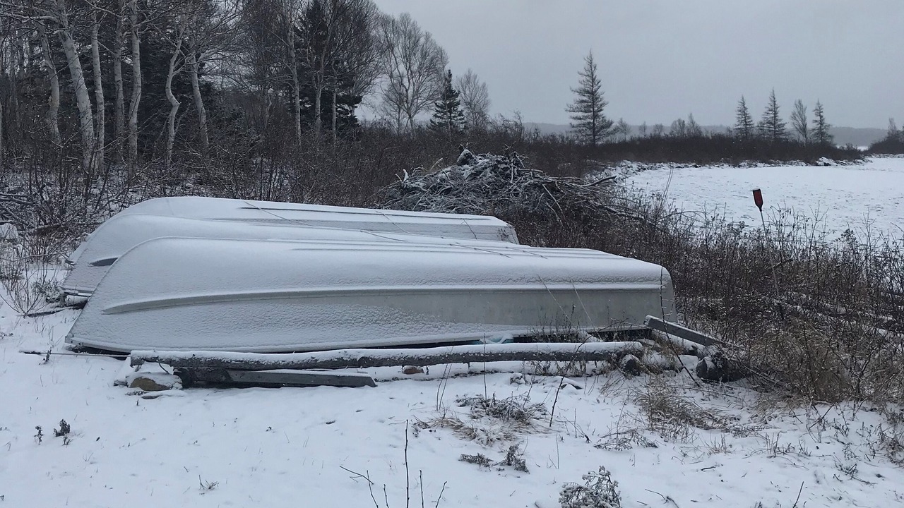 Photo of Others in New-Wes-Valley