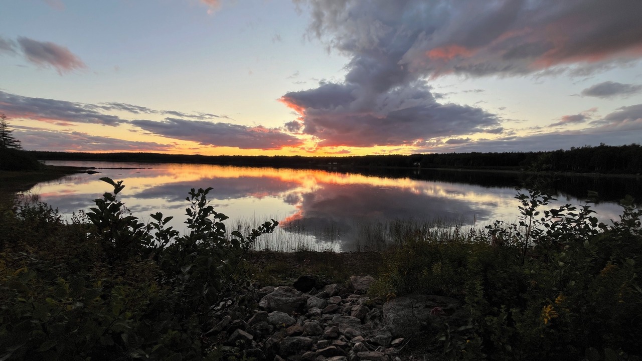 Photo of Others in New-Wes-Valley