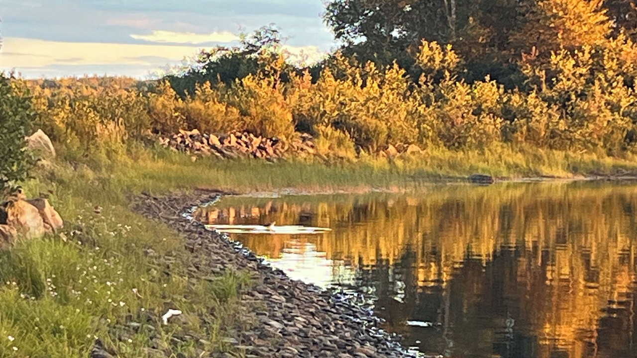 Photo of Others in New-Wes-Valley