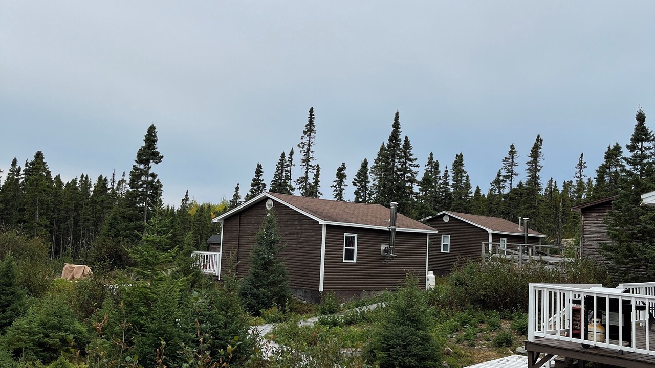 Photo of Others in New-Wes-Valley